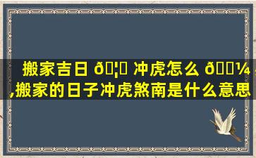 搬家吉日 🦉 冲虎怎么 🌼 办,搬家的日子冲虎煞南是什么意思